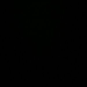 Meet your Posher, Devin